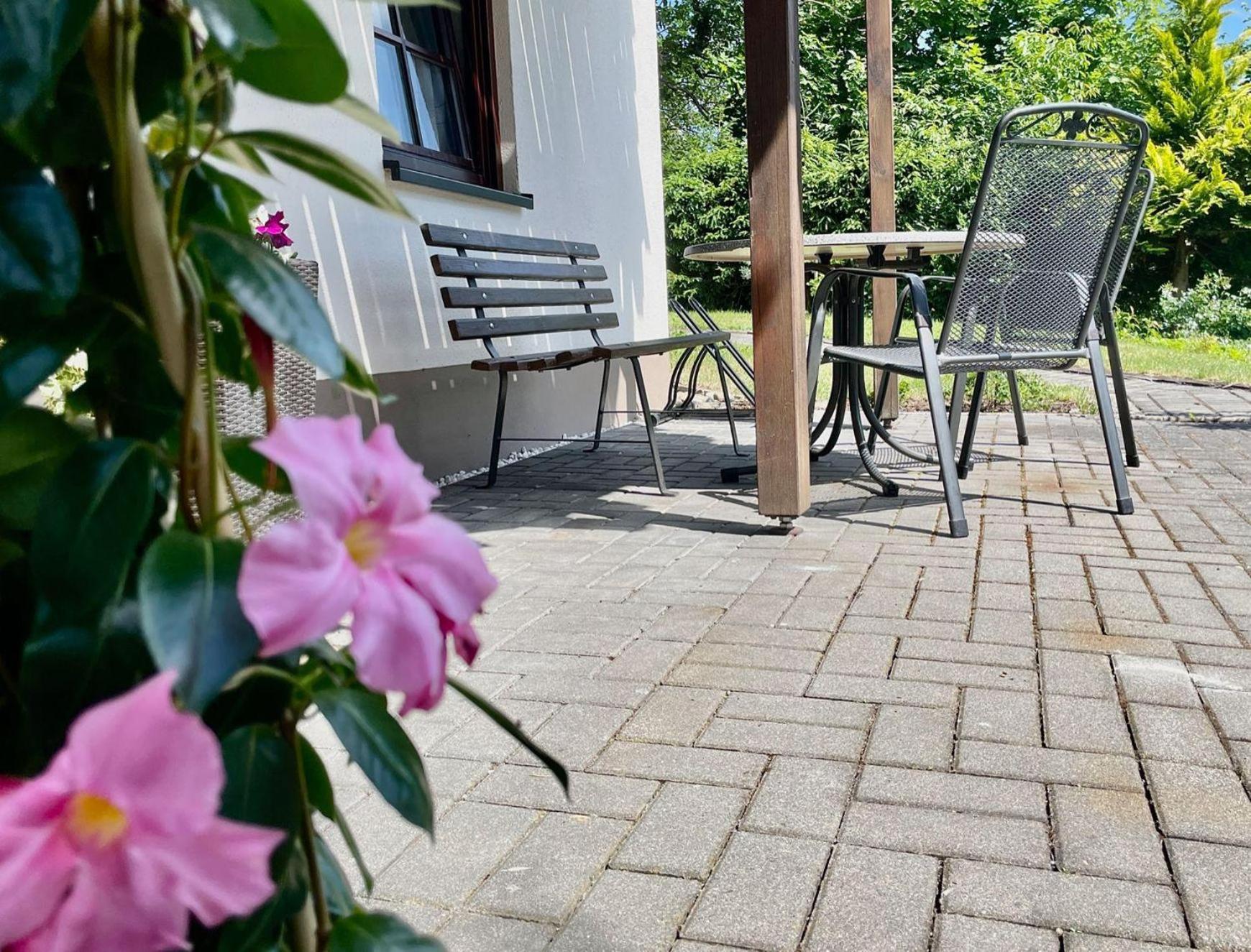 Ferienwohnung-Am-Suedhang Müglitztal Kültér fotó