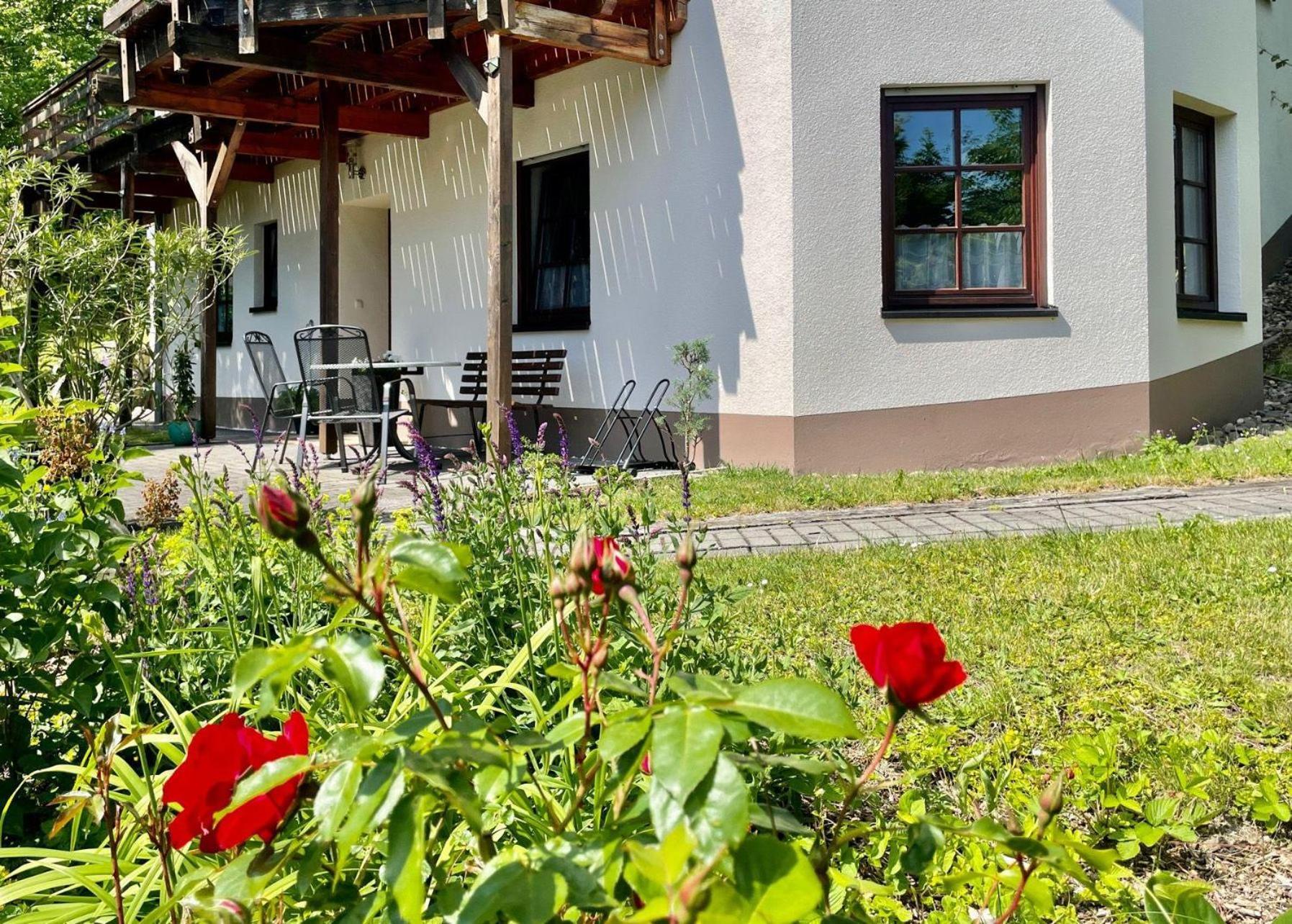 Ferienwohnung-Am-Suedhang Müglitztal Kültér fotó