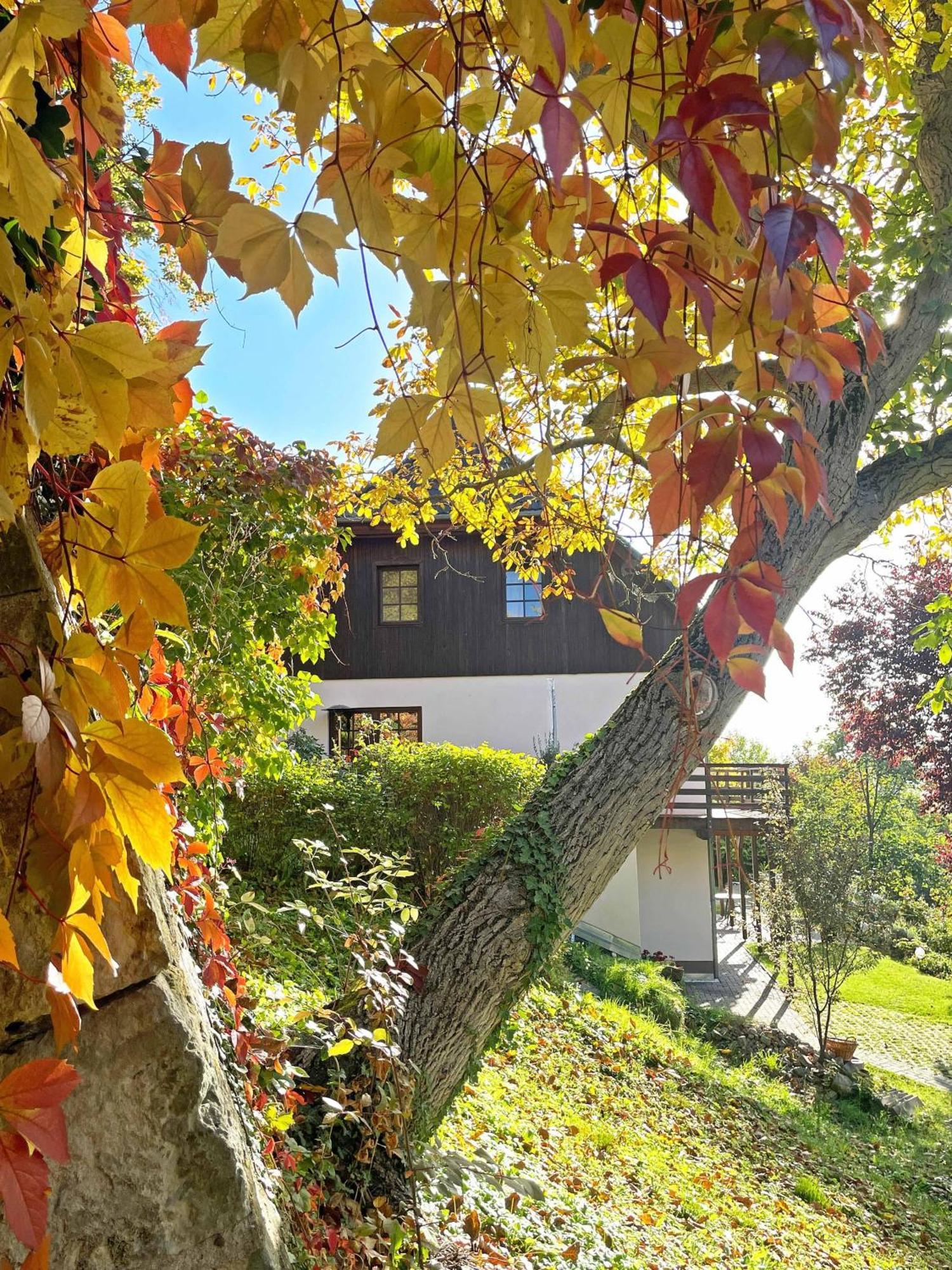 Ferienwohnung-Am-Suedhang Müglitztal Kültér fotó